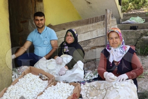 Kilosu  400 TL.   20 metrekare alanda 40 kilo retiliyor kilosu 400 TLden satlyor